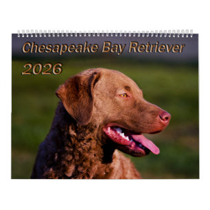 Calendrier du Chesapeake Bay Retriever 2026