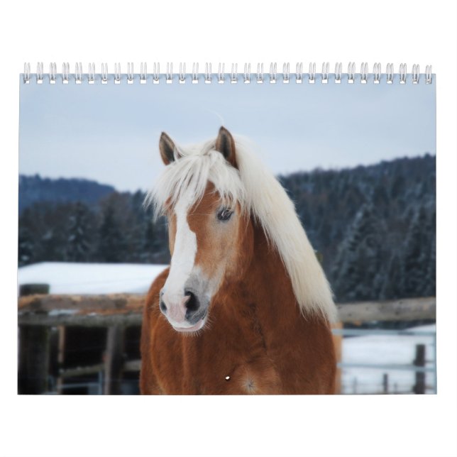 Calendrier du cheval (Protection)