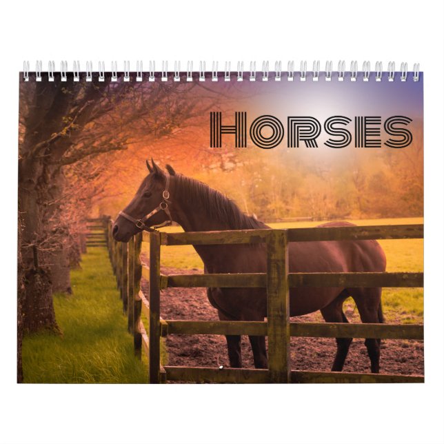 Calendrier du cheval (Protection)