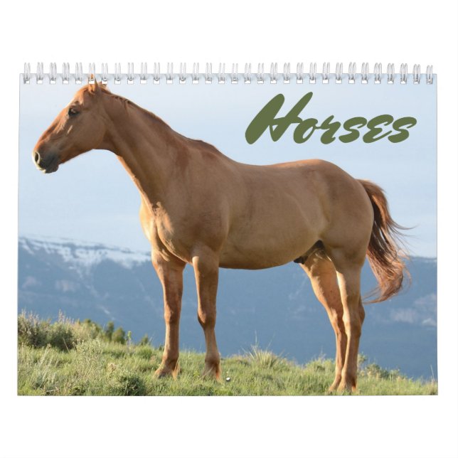 Calendrier du cheval (Protection)