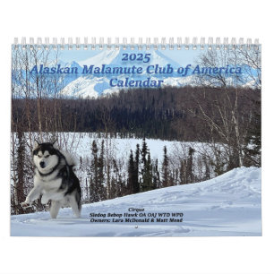 Calendrier du club de malamute de l'Alaska 2025