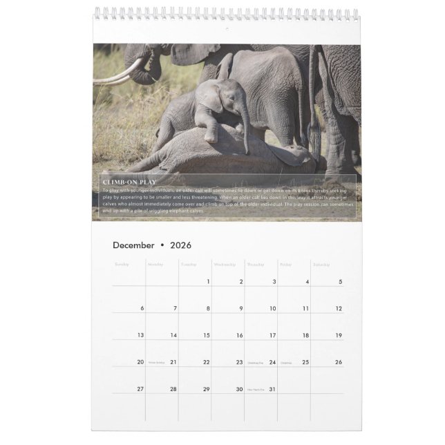 Calendrier du comportement des éléphants (Dec 2026)