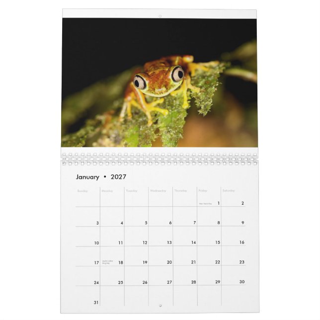 Calendrier du Costa Rica (Jan 2027)