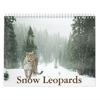 Calendrier du léopard des neiges