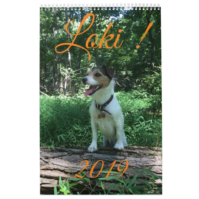 Calendrier du Loki 2019 (Protection)