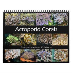 Calendrier du mur de coraux Acroporid par J.W. Pat