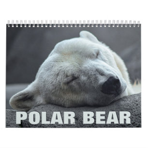 Calendrier du mur de l'ours polaire