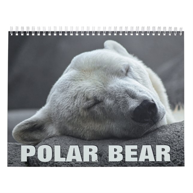 Calendrier du mur de l'ours polaire (Protection)