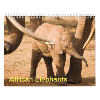 Calendrier du mur des éléphants africains