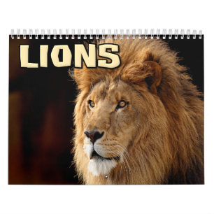 Calendrier du mur des lions