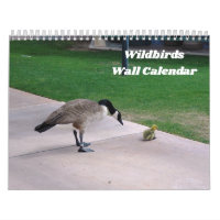 Calendrier du mur des oiseaux sauvages