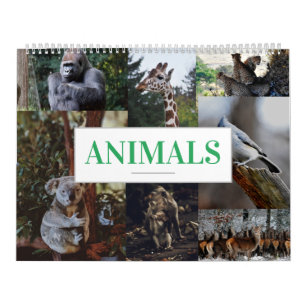 Calendrier du mur du domicile/bureau Calendrier an