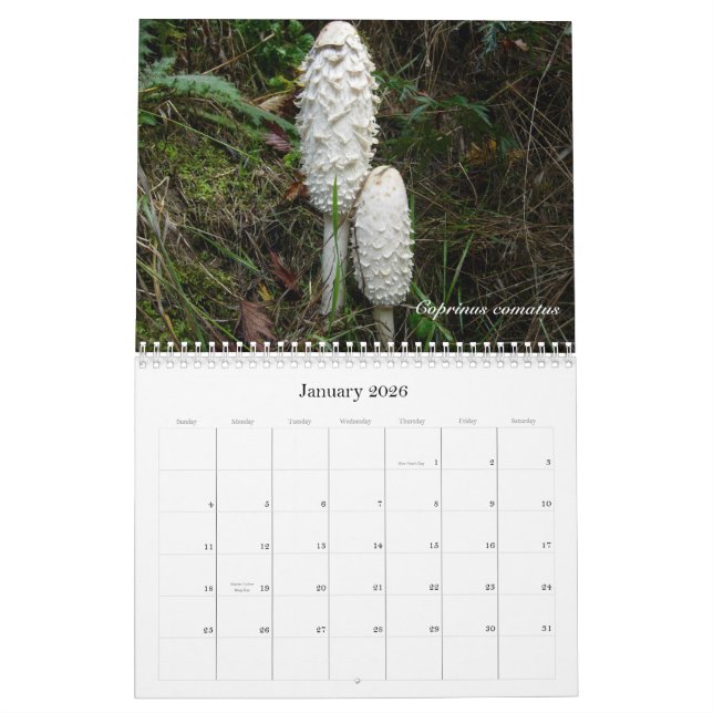 Calendrier du nord-ouest 2010 de champignon (Jan 2026)