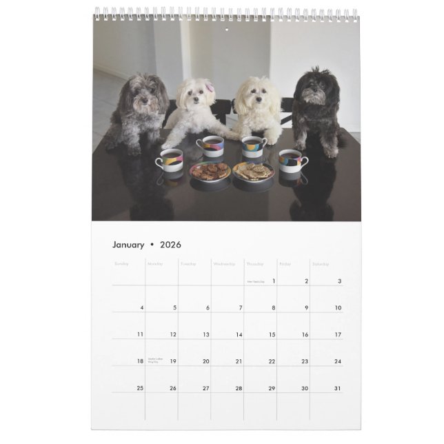Calendrier du paquet 2017 de PBJ (Jan 2026)