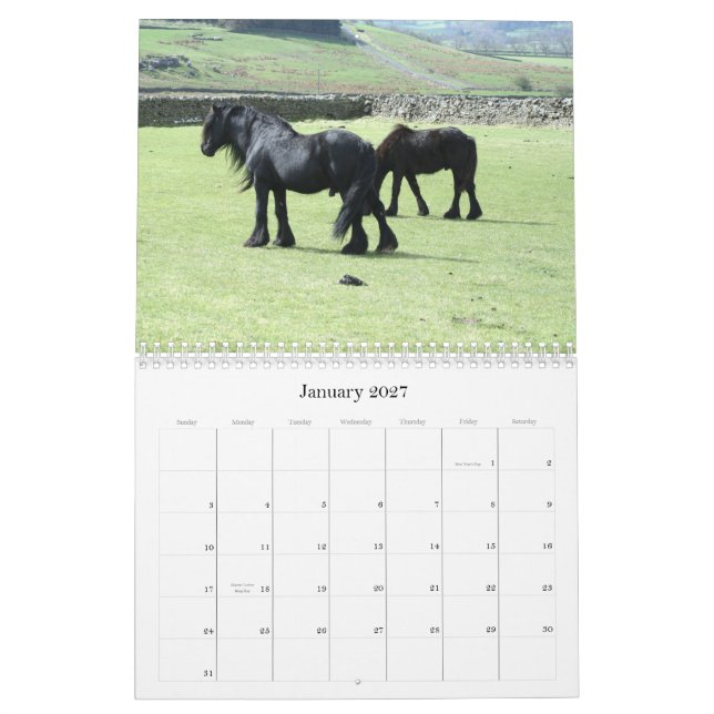 Calendrier du poney 2012 de vallées (Jan 2027)