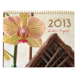 Calendrier du projet Soeur 2013