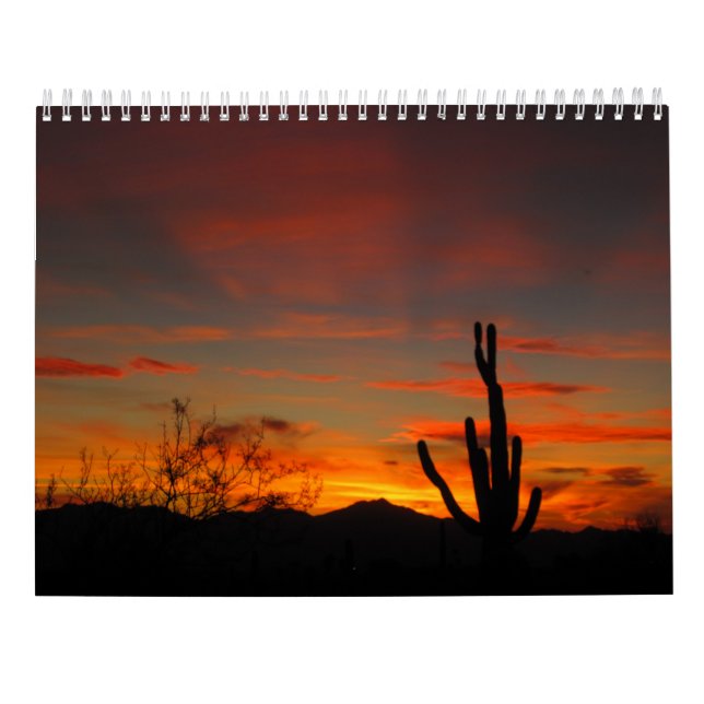 Calendrier du temps 2017 de Tucson (Dos)