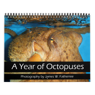 Calendrier d'une année de poulpes