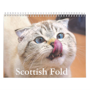 Calendrier écossais des chats pliés