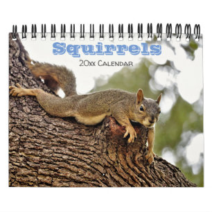 Calendrier écureuil pour amoureux des animaux ou 
