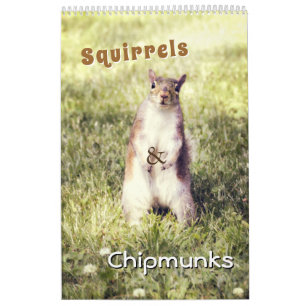 Calendrier Écureuils mignons et Chipmunks Drôle Photos d'anim