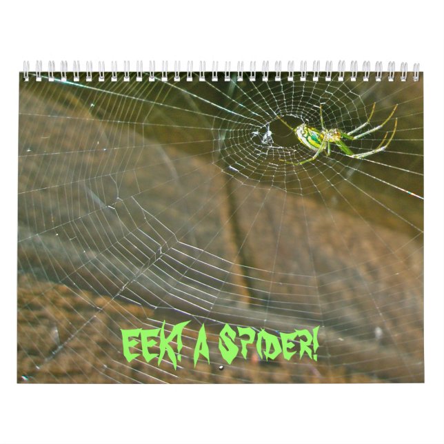 Calendrier - EEK ! Une araignée ! (Protection)