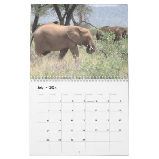 Calendrier éléphant