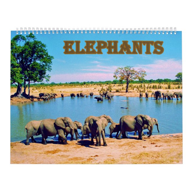 Calendrier elephants  (Protection)