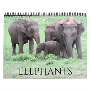 Calendrier éléphants 2025