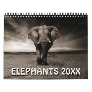 Calendrier Éléphants Sauvages