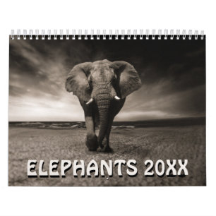 Calendrier Éléphants Sauvages