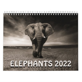 Calendrier Eléphants sauvages 2022