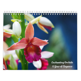 Calendrier Enchanter les orchidées