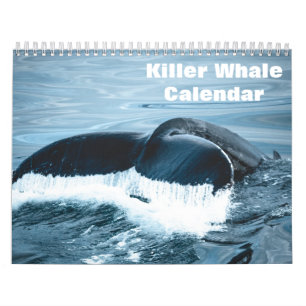 Calendrier Épaulard Orcas 2026