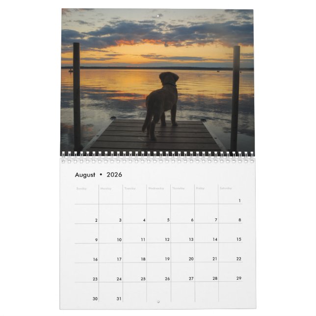 Calendrier Équipe Joey Jax 2016 (Aug 2026)