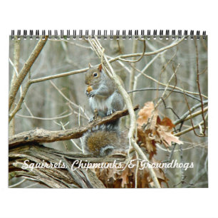 Calendrier - Equipes Chipmunks Groundhogs