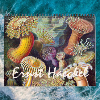 Calendrier Ernst Haeckel vintage, Biologie, Botanique, Scienc
