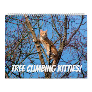 Calendrier Escalade arborescente Kitties Cat & Kittens in Tre