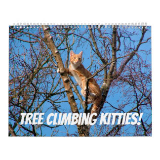 Calendrier Escalade arborescente Kitties Cat & Kittens in Tre