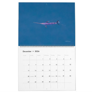 Calendrier Espadon uniquement 2026