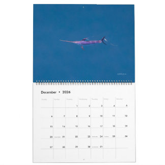 Calendrier Espadon uniquement 2026
