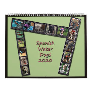Calendrier espagnol des chiens d'eau 2020
