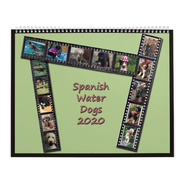 Calendrier espagnol des chiens d'eau 2020 (Protection)