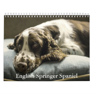 Calendrier espagnol Springer anglais