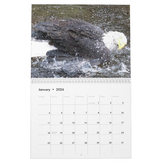 Calendrier Esprits ailés 2013 24 mois calender (Jan 2026)