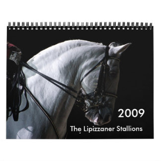Calendrier Étalons de Lipizzaner