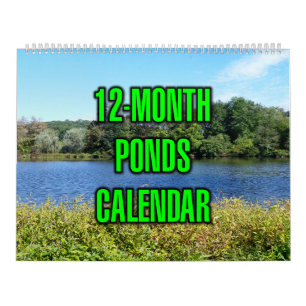 Calendrier Étangs de 12 mois