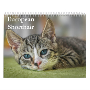 Calendrier européen à courte distance