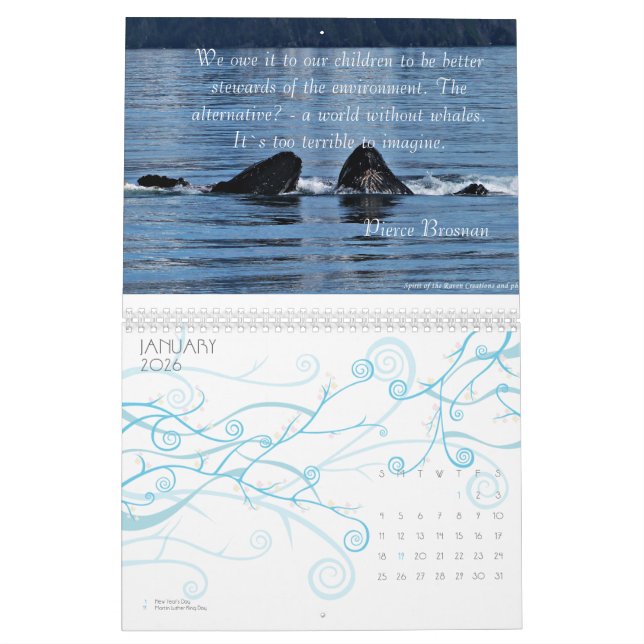 Calendrier extraordinaire de baleine de bosse (Jan 2026)