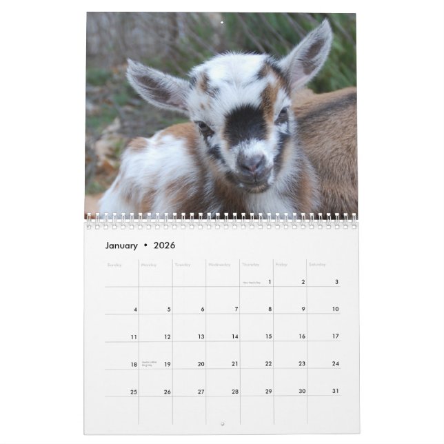 Calendrier extrême de gentillesse de ferme (Jan 2026)